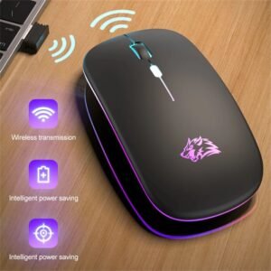 Souris Sans Fil BIAGJI – Ergonomique, Silencieuse, 2.4GHz